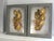2020s Vintage Italian Patina Gold Leaf Tole Collages, Framed Pair, Mid Century For Sale - Image 5 of 7