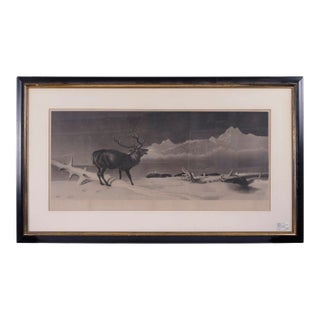 Sir E Landseer "The Challenge" Engraved by Jw Watts For Sale