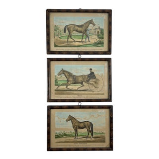Race Horse Champions Framed Original Chromolithographs Printed in 1882 – Set of 3 For Sale