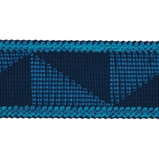 Schumacher Teague Tape Indoor & Outdoor in Blue For Sale