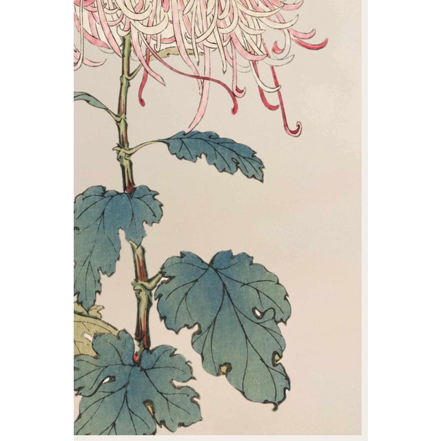 Not Yet Made - Made To Order Asian Mum by Hasegawa, Vintage Japanese Botanical Art Print, 24" X 36" For Sale - Image 5 of 10