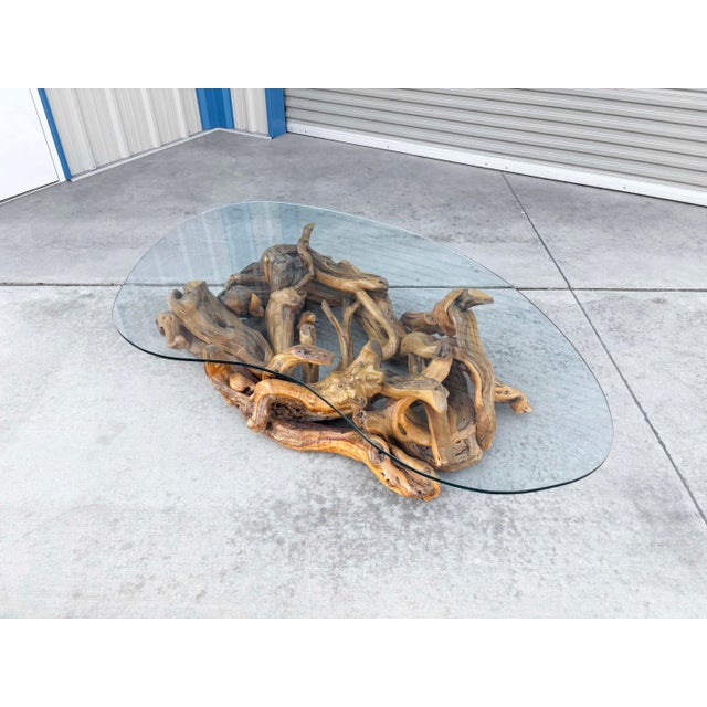 1960s Mid-Century Modern Driftwood Coffee Table With Freeform Glass Top For Sale - Image 9 of 15