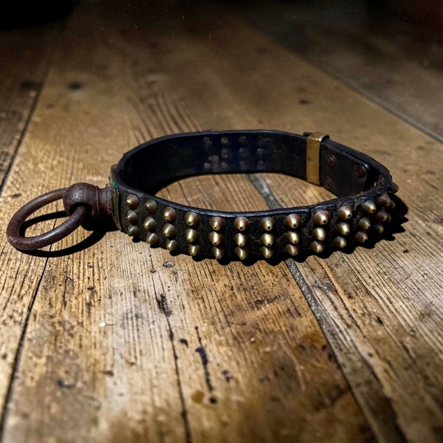 French Studded Leather Dog Collar with Brass Nameplate, 19th Century For Sale - Image 4 of 8