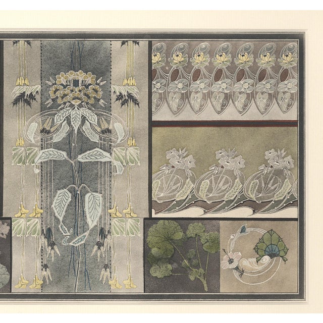 Art Nouveau 1910 Antique Art Nouveau Botanical Design Chromolithograph, Matted For Sale - Image 3 of 4