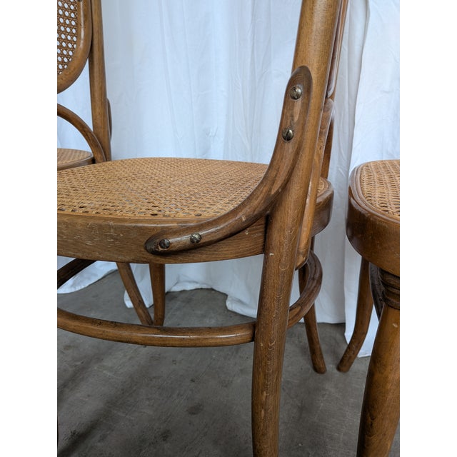 Vintage Bentwood and Cane Dining Chairs, Former Yugoslavia, 1970s, Set of 8 For Sale - Image 16 of 18