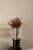 Not Yet Made - Made To Order Amphora Maxi Vase in Brushed Aluminum by Caspal For Sale - Image 5 of 8