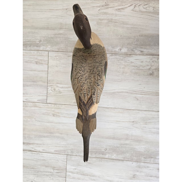 1975 Bob Sitton Hand-Carved Northern Pintail Life-Size Duck Decoy - Rare First Year For Sale - Image 9 of 12