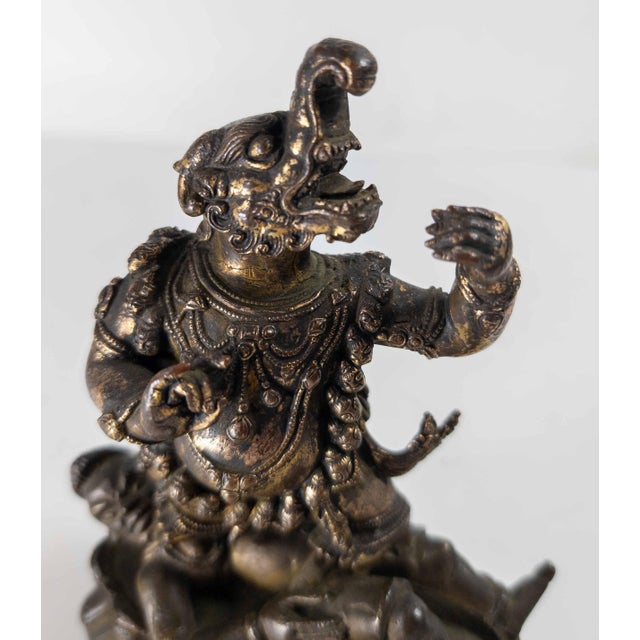 17th or 18th Century Chinese Sino-Tibetan Gilt Bronze Buddhist Makala Faced Deity Figure For Sale - Image 16 of 18