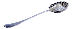 Shell-Shaped Silver Sprinkling Spoon