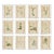Framed Wild Flower Botanicals - Set of 12 For Sale