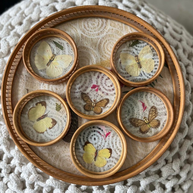 1960s Mid-Century Modern Bamboo Pressed Butterfly Cocktail Tray and Coaster Set - 7 Pieces For Sale - Image 4 of 9