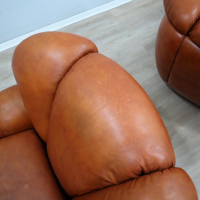 Large Italian Organic Leather Clamshell Lounge Chairs, 1970s, Set of 2 For Sale - Image 11 of 15