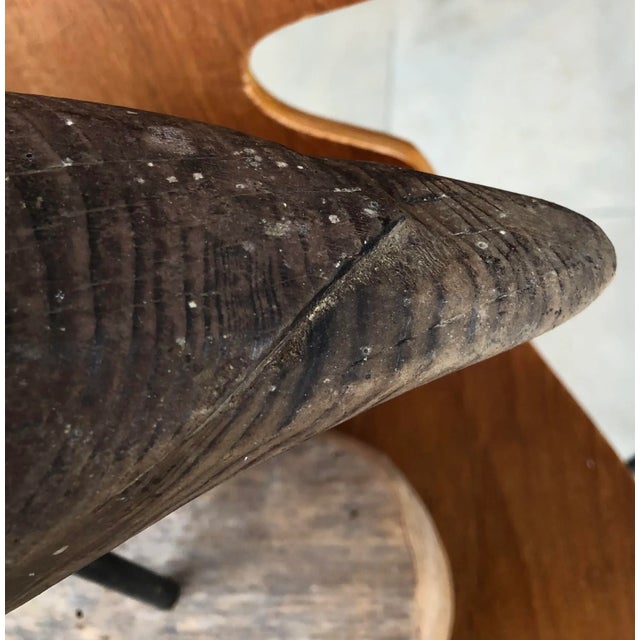 First quarter of 20th Century. Excellent, primitive, hand carved North Carolina shorebird.