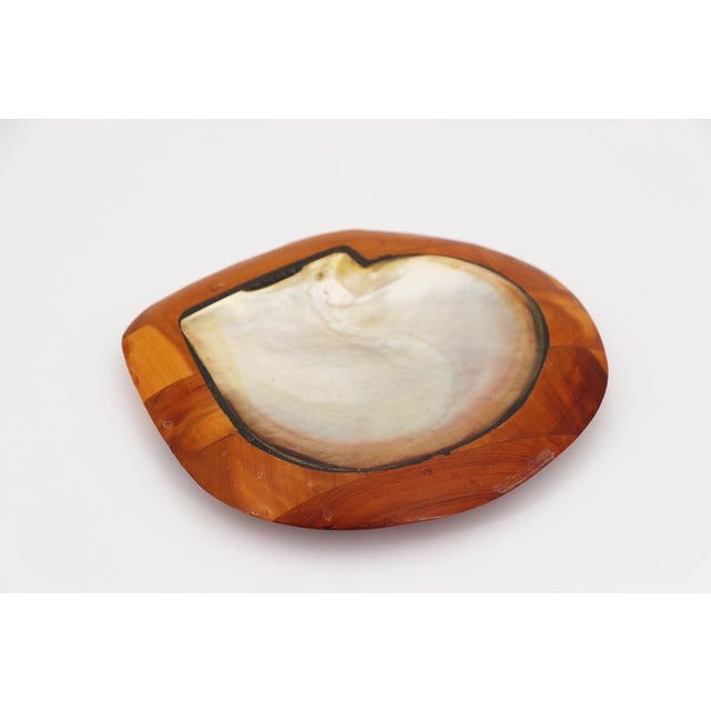 Shell and Teak Root Wood Card Receiver or Trinket Tray in the Style of Alexandre Noll, France, 1950s For Sale - Image 6 of 13