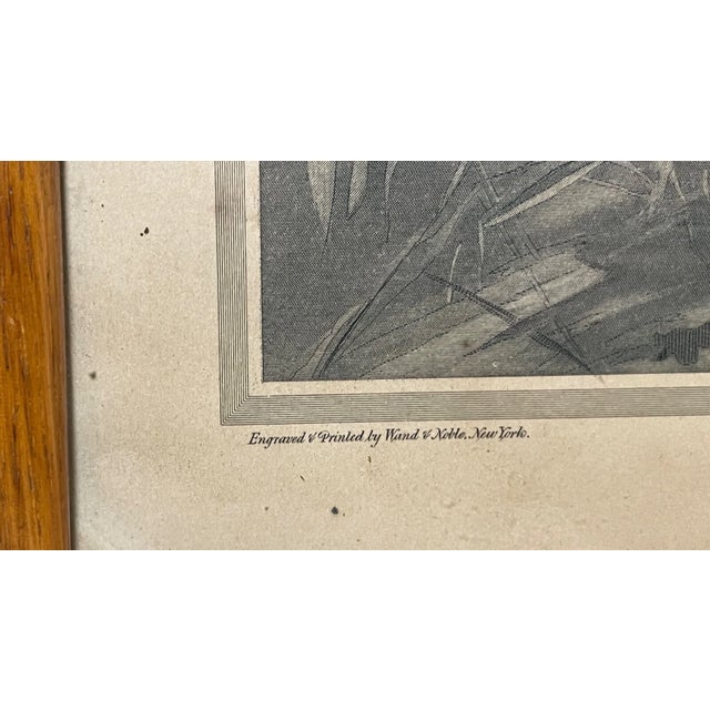 Black Rare Antique 1894 Wand and Noble Pride of the Glen Moose Elk Engraving Print Art For Sale - Image 8 of 14