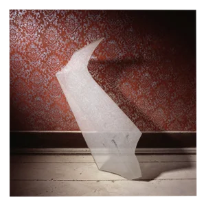 Filipe Condado, Untitled, Photography