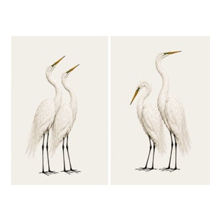 Neutral Crane Studies 1 - 2, Coastal Bird Art Diptych, Set of 2 Prints, 20" X 30" For Sale