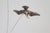 Silver Tone Seagulls in Flight Kinetic Sculpture, Vintage 1970s For Sale - Image 9 of 10