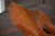 Organic Abstract Iroko Sculpture on Travertine Base, 1960s For Sale - Image 3 of 18