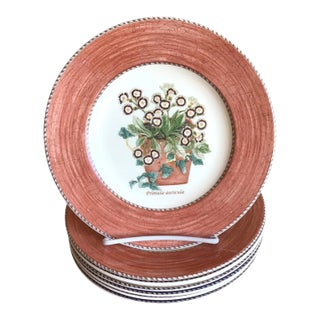 Vintage 1997 Mixed Wedgwood Sarahs Garden Queens Ware England Salad Plates - Set of 7 For Sale