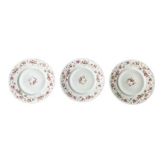 Antique Haviland Limoges Plates - Set of 3 For Sale