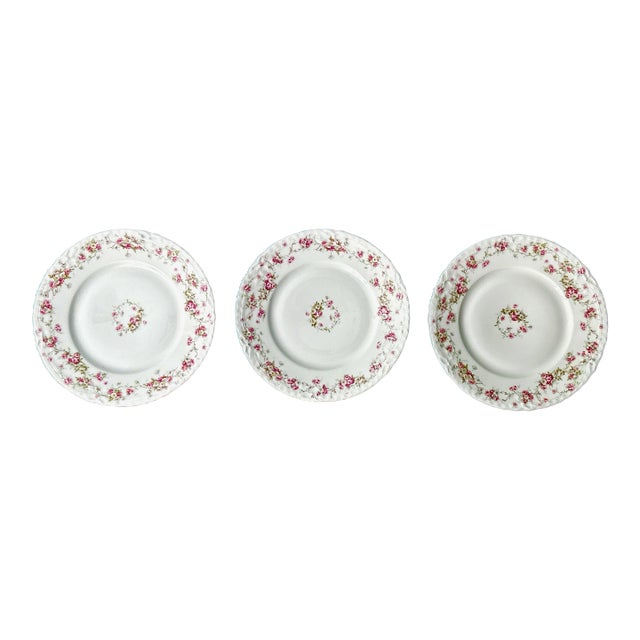 Antique Haviland Limoges Plates - Set of 3 For Sale