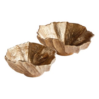 Ostra Decorative Bowls, Set Of 2 For Sale