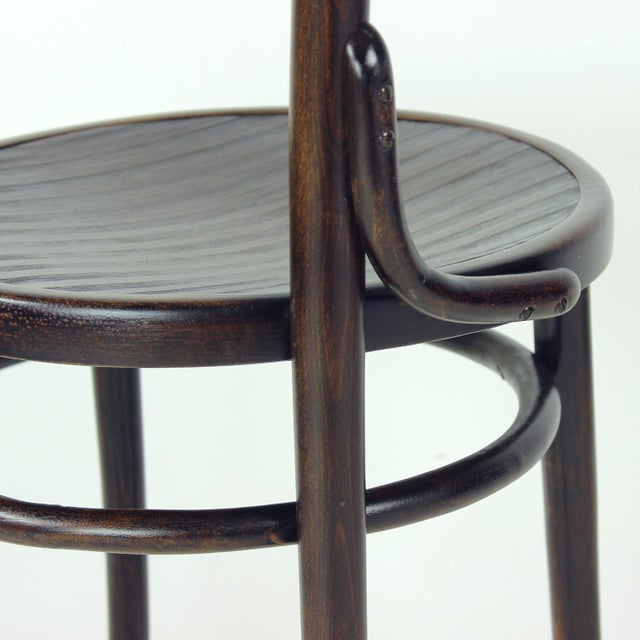Wood Bentwood Chair from Tatra, Former Czechoslovakia, 1940s For Sale - Image 7 of 16