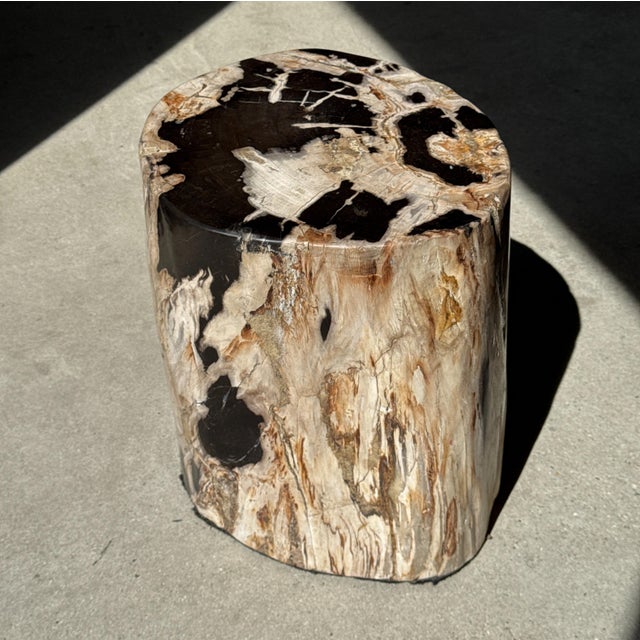 Side Table in Petrified Wood with Black Spots, 1980s For Sale - Image 10 of 18