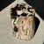 Side Table in Petrified Wood with Black Spots, 1980s For Sale - Image 10 of 18