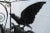 Black Art Deco Style Marble Top Painted Black Metal Bird Design Console Table For Sale - Image 8 of 13