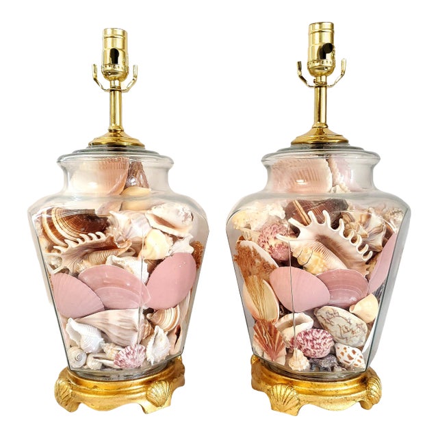 Lamp Pair Shells Seashells For Sale