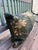 Traditional A Large 18th Century Pillow With Verdure Tapestry For Sale - Image 3 of 7