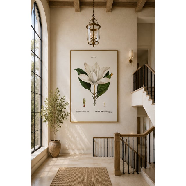 White Southern Magnolia, Redouté Botanical Print, 40" X 60" For Sale - Image 8 of 9