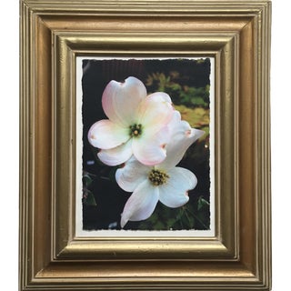 "What, To You, Represents Love?" Photography For Sale