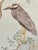 “Marsh Madness” Spoonbill, Heron, Crane Chinoiserie Coastal Painting by Allison Cosmos - Set of 3 For Sale - Image 9 of 9