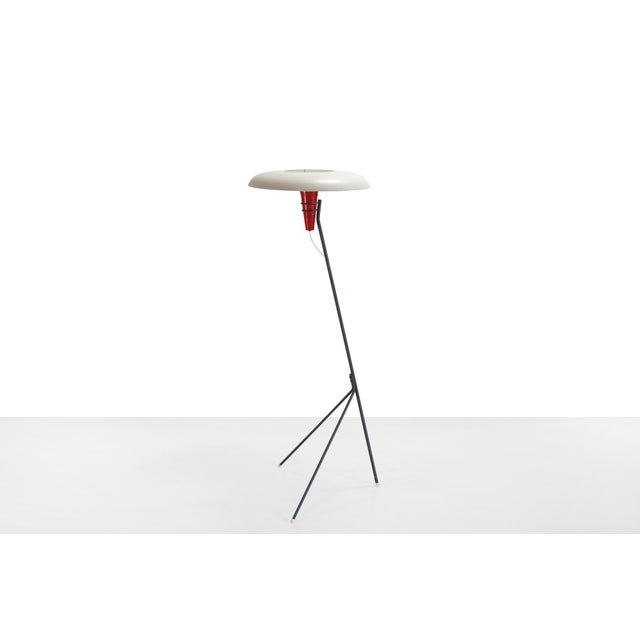 Philips NX38 Floor Lamp by Louis Kalff for Philips, 1950s For Sale - Image 4 of 7