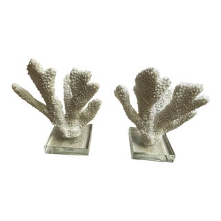 Pair Faux Coral White Thick Finger Mounted on Glass Decorative Objects For Sale