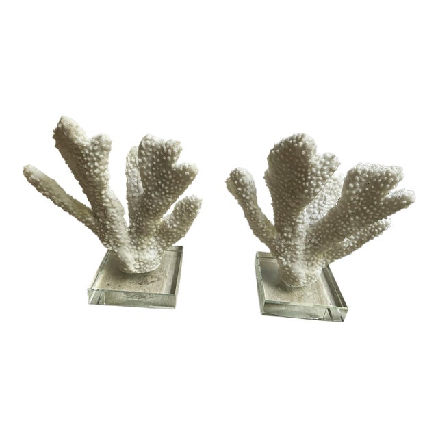 Pair Faux Coral White Thick Finger Mounted on Glass Decorative Objects For Sale