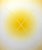 Contemporary Abstract Acrylic on Canvas "Light Interaction (Naples Yellow Light)" by Andy Harwood For Sale - Image 4 of 4