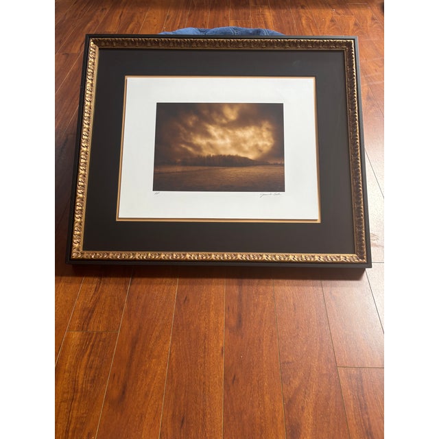 Traditional Jamie Cook Giclée APs (Set of 4) For Sale - Image 3 of 6