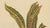 Berthe Hoola van Nooten, Garden Croton (Joseph's Coat), 1880, Chromolithograph For Sale - Image 6 of 9