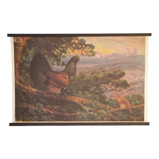 Vintage Grouse School Poster, 1938 For Sale