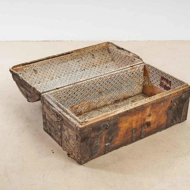 Trunk with Wild Boar Leather For Sale - Image 5 of 10