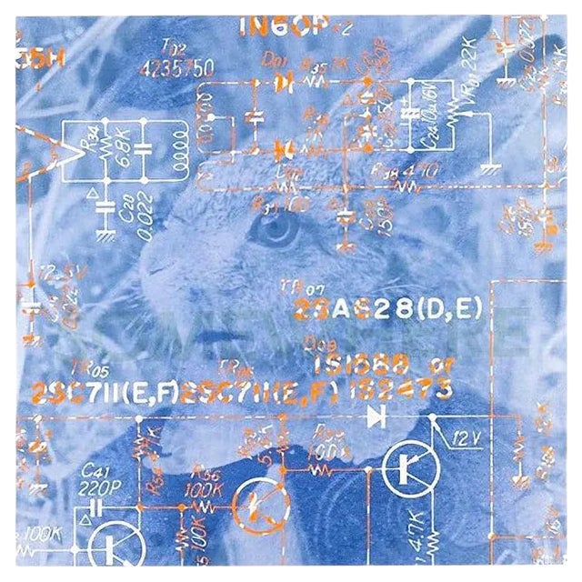 Somewhere - Original Lithograph by James Rosenquist - 1981 1981 For Sale