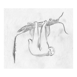 1930s Helen Malta Sloth Drawing For Sale