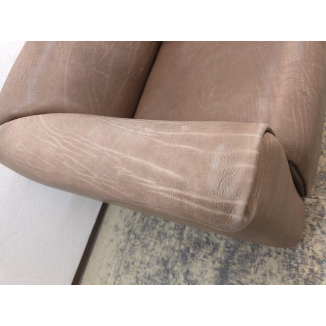 Animal Skin DS 47 2-Seater Sofa in Brown Leather from de Sede For Sale - Image 7 of 12