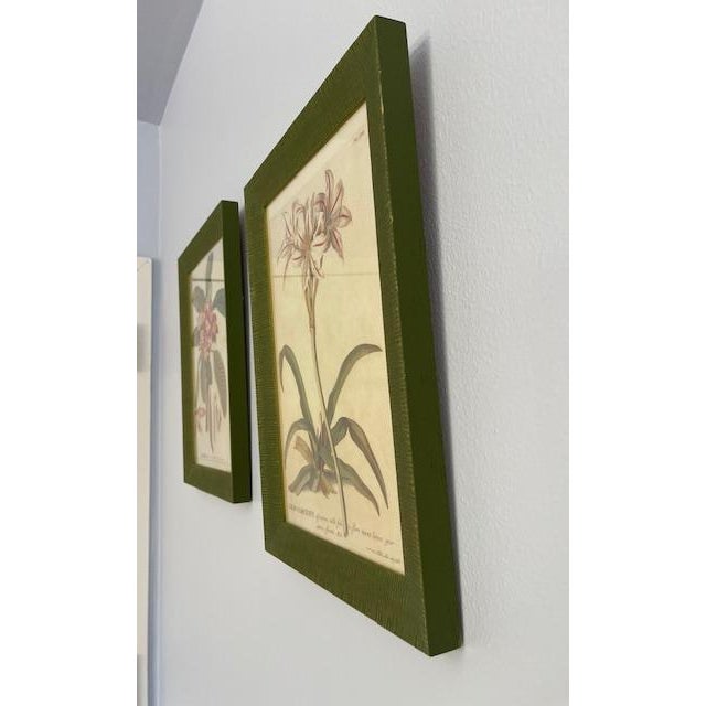 Late 20th Century Vintage Wood Framed Botanical Prints For Sale - Image 5 of 12