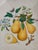 Here's a large size pasta bowl made by Himark of Italy in the 1980s-90s when Italian imports were at the height of...