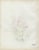 Grace Spongberg (American, 1906-1992) drawing of a cactus in a desert landscape, oil pastel on paper, titled and estate...